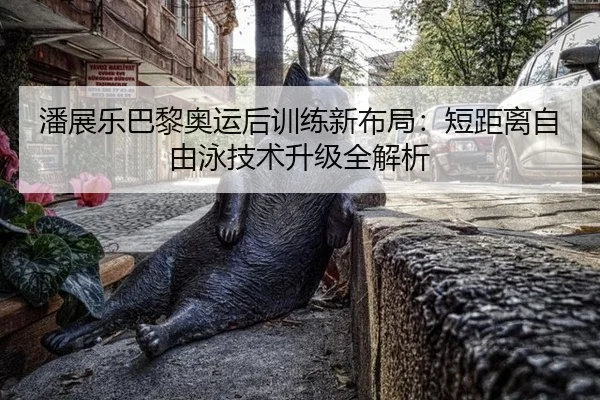 潘展乐巴黎奥运后训练新布局：短距离自由泳技术升级全解析